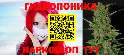 Альфа ПВП Жуковский