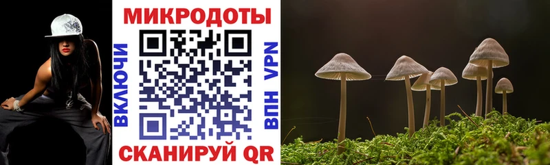 Галлюциногенные грибы Psilocybe  наркошоп  Можга 