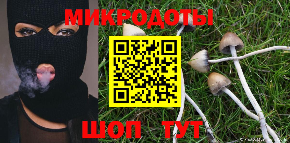 Псилоцибиновые грибы ЛСД Можга