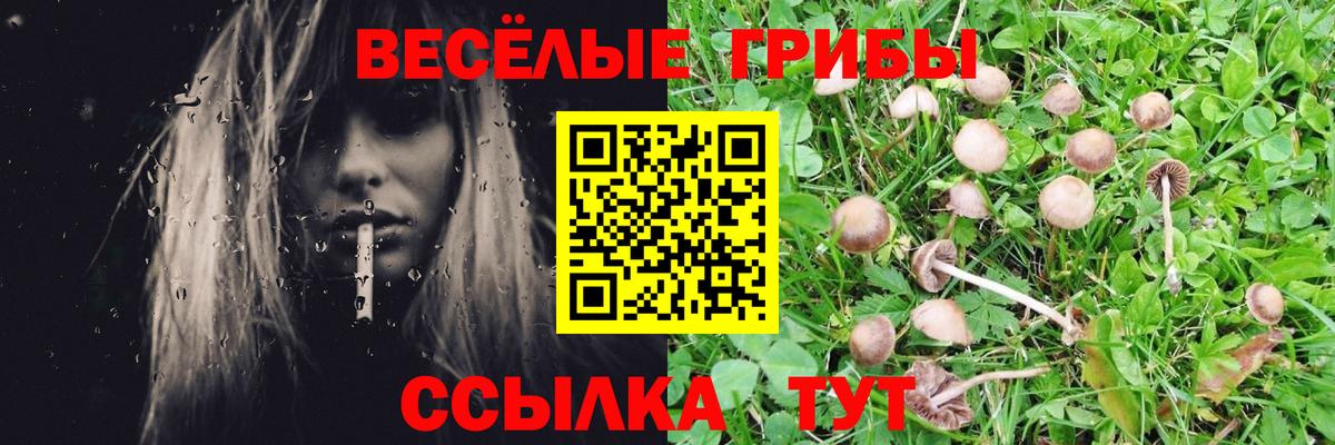 Галлюциногенные грибы Magic Shrooms  Вход с VPN  Можга 