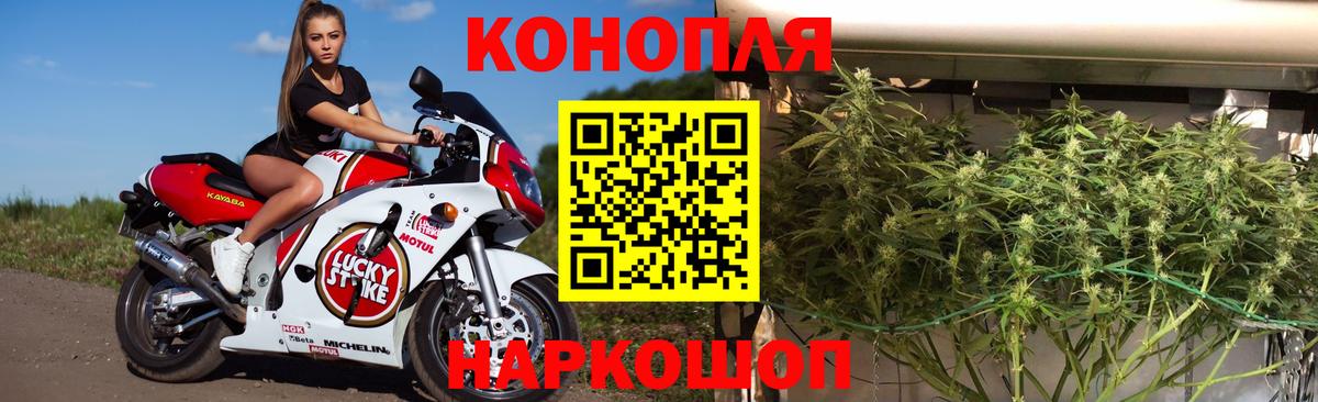 Конопля Ganja  Вход с VPN  Конопля OG Kush  Можга  Канабис марихуана 